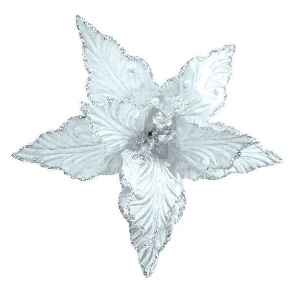 Χριστουγεννιάτικο Λουλούδι Αλεξανδρινό, Λευκό (25cm)